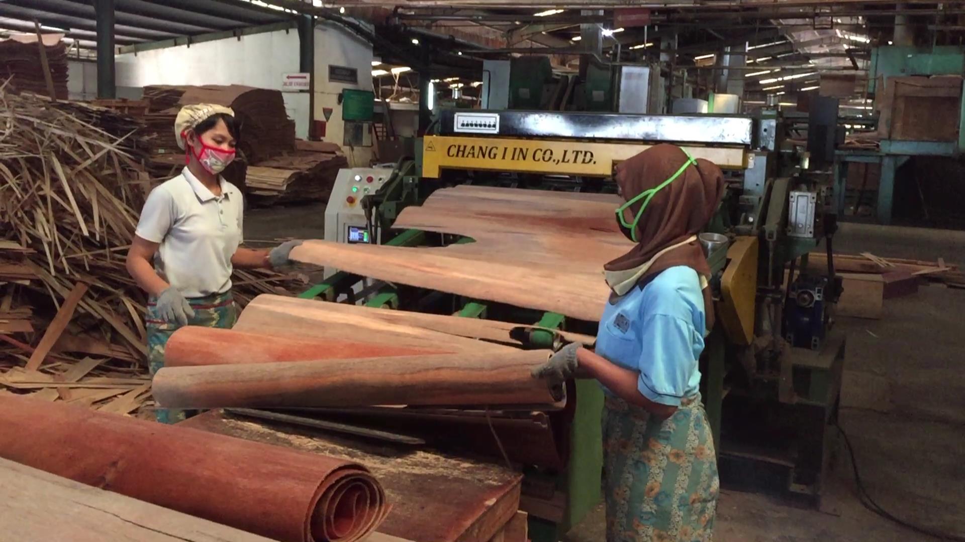 green veneer clipper2 green veneer clipper2